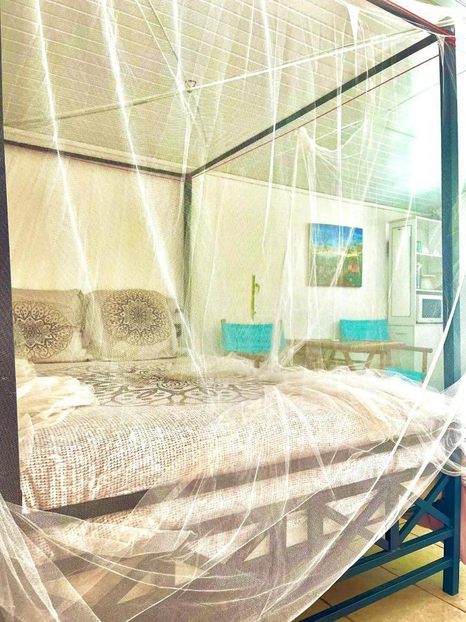 Appartement Moderne A Le Lamentin Avec Piscine Partagee 20M² Zewnętrze zdjęcie